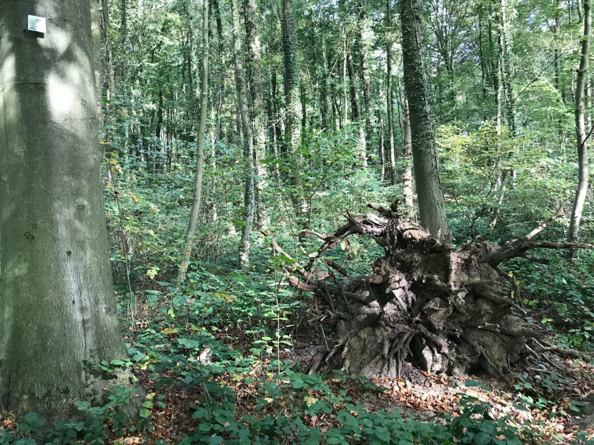 Vakantiewoning Leberg Brakel Zewnętrze zdjęcie